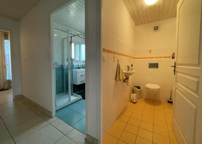 Bixta-eder Saint-Palais (Pyrenees-Atlantiques)